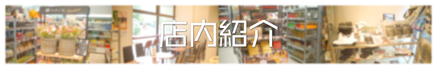 店舗紹介